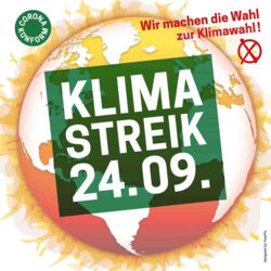 Sharepic zum Klimastreik am 24. September 2021